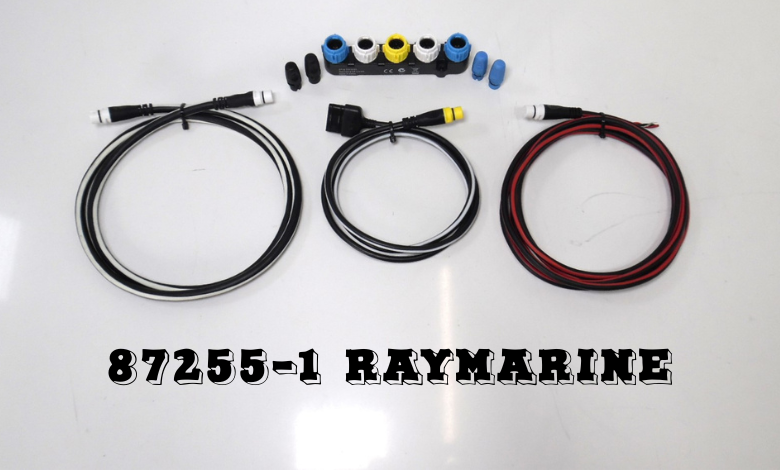 87255-1 Raymarine